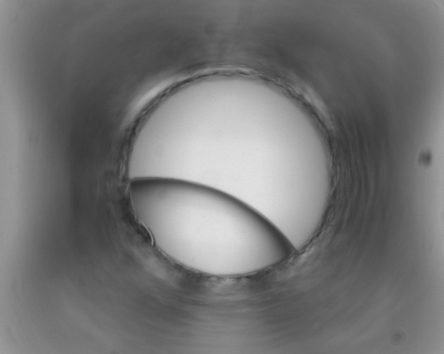 X0000091341352200709071210