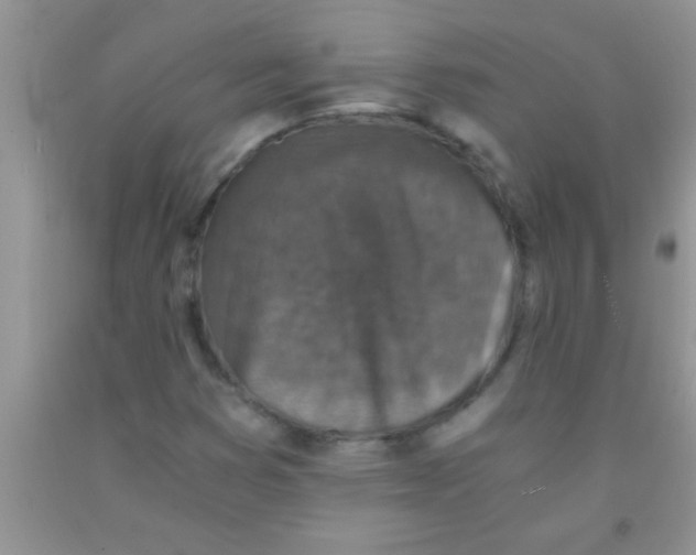 X0000091341353200709071210