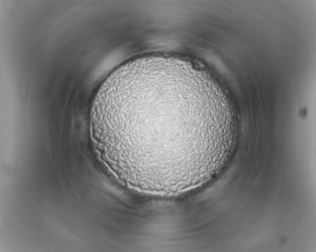 X0000091341354200709071210