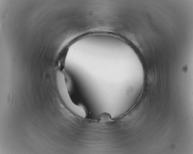 X0000091341356200709071210