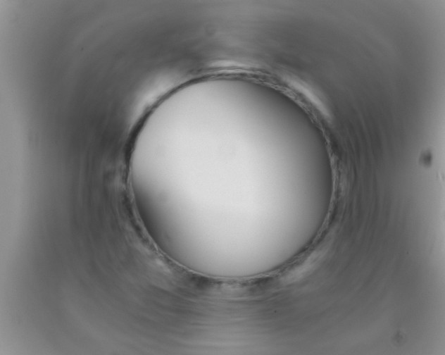 X0000091341357200709071210