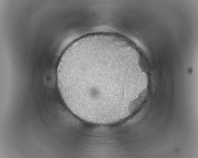 X0000091341358200709071210