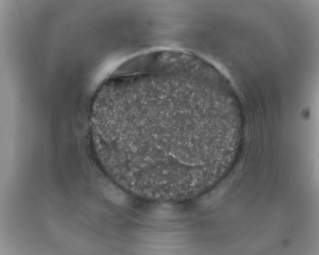 X0000091341359200709071210