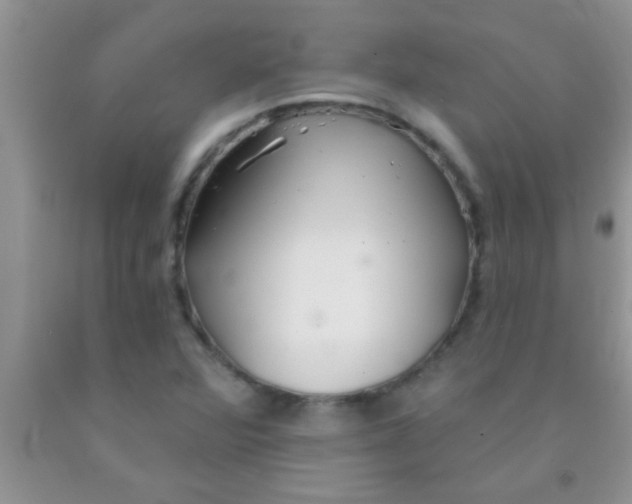 X0000091341360200709071210