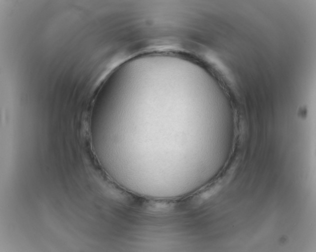 X0000091341361200709071210