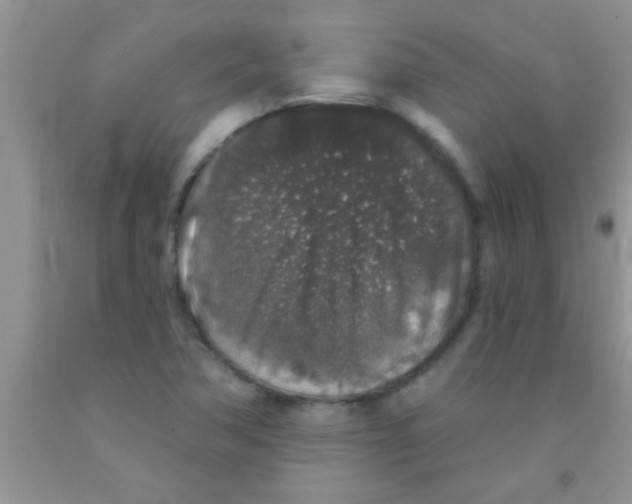 X0000091341362200709071210