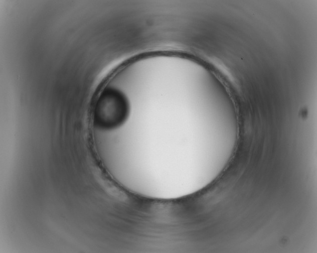 X0000091341364200709071210