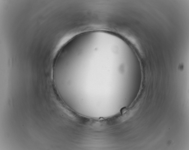 X0000091341365200709071210