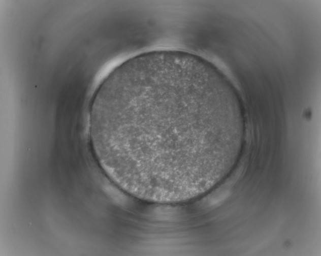 X0000091341366200709071210