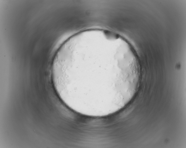 X0000091341367200709071210