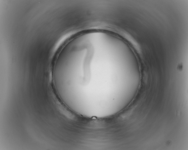 X0000091341368200709071209