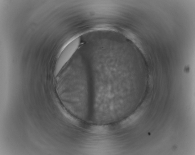 X0000091341369200709071209