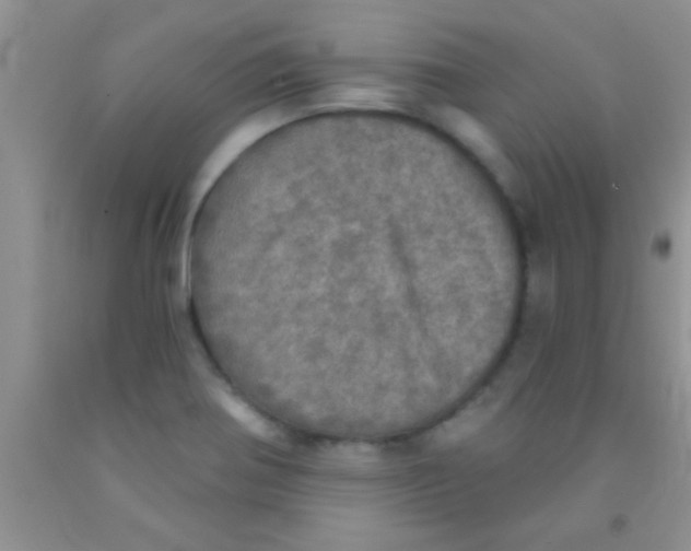 X0000091341370200709071209