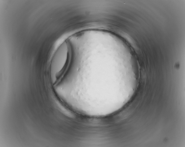 X0000091341371200709071209