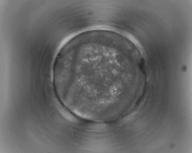 X0000091341372200709071209