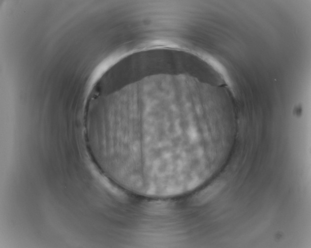 X0000091341373200709071209