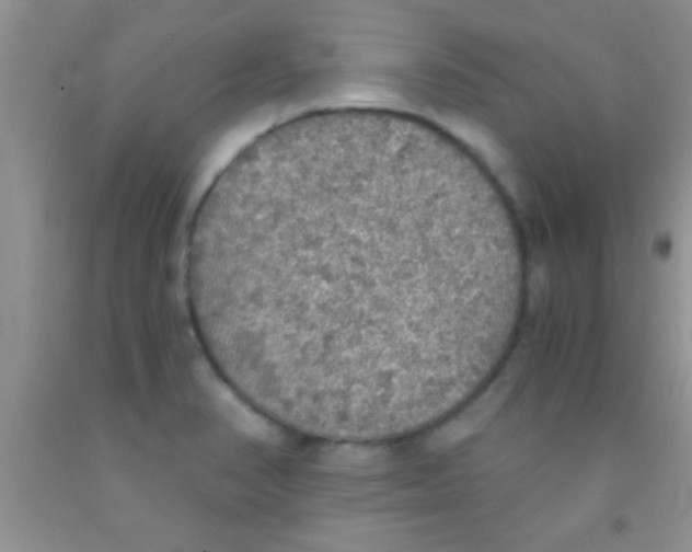 X0000091341374200709071209