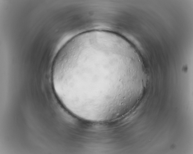 X0000091341375200709071209