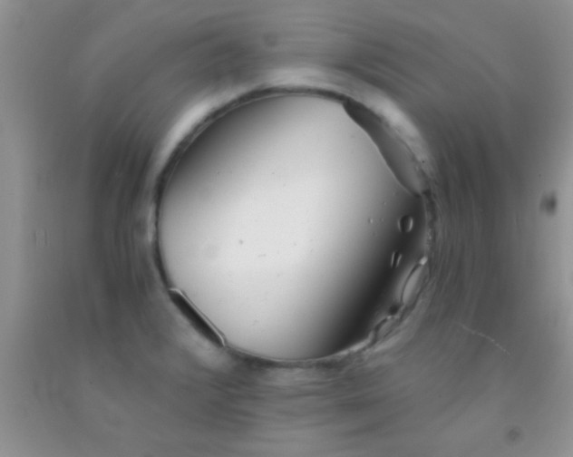 X0000091341376200709071209