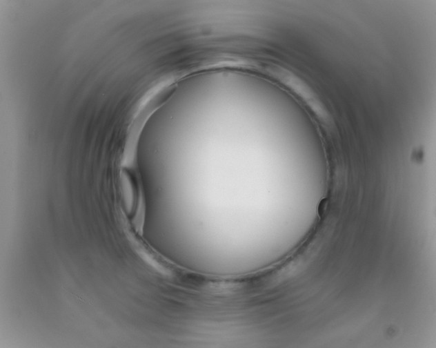 X0000091341377200709071209