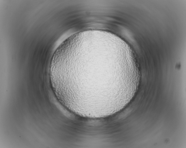 X0000091341378200709071209