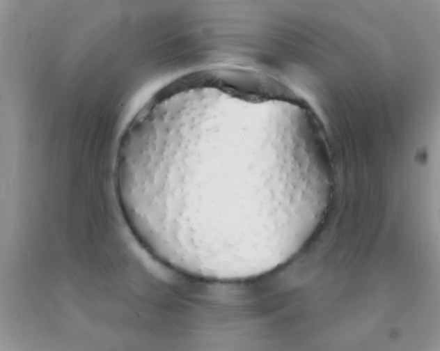 X0000091341379200709071209