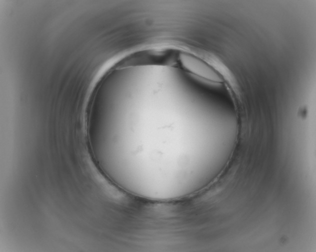 X0000091341380200709071209