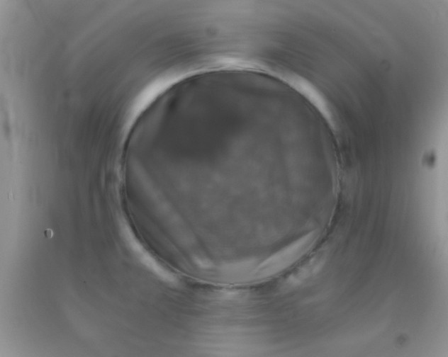 X0000091341381200709071209