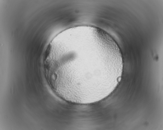 X0000091341382200709071209