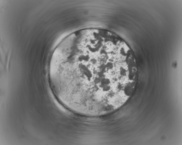 X0000091341383200709071209