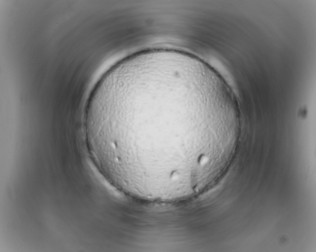 X0000091341384200709071209