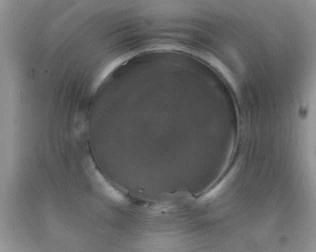 X0000091341385200709071209