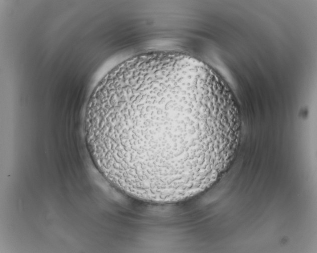 X0000091341386200709071209