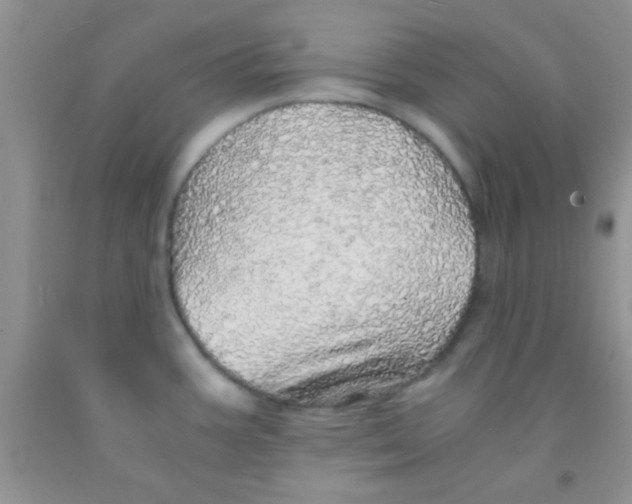 X0000091341387200709071209