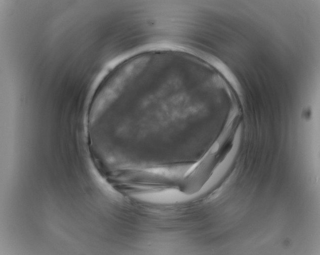 X0000091341388200709071209