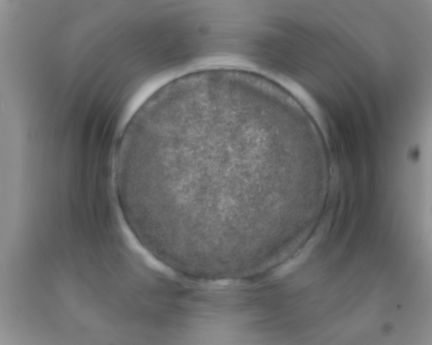 X0000091341390200709071209