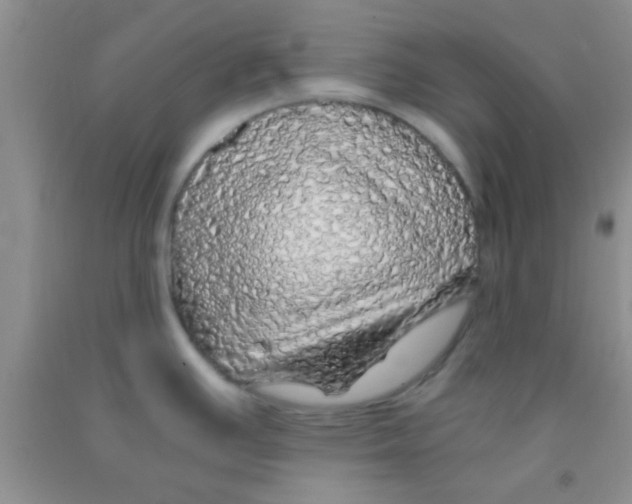 X0000091341391200709071209