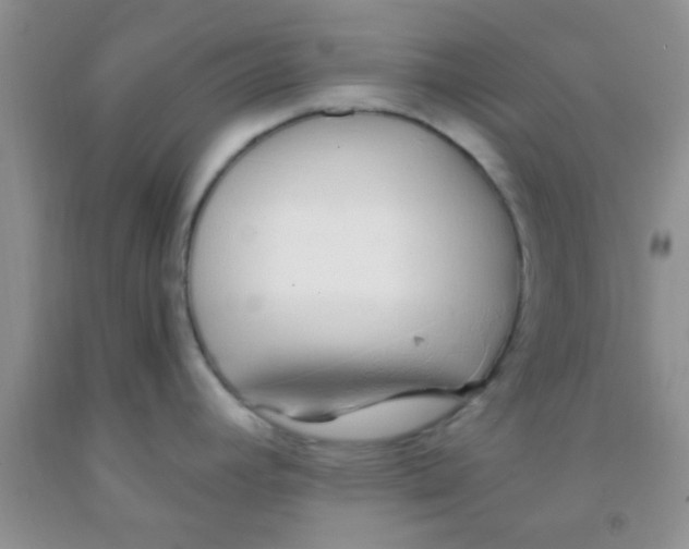 X0000091341392200709071209