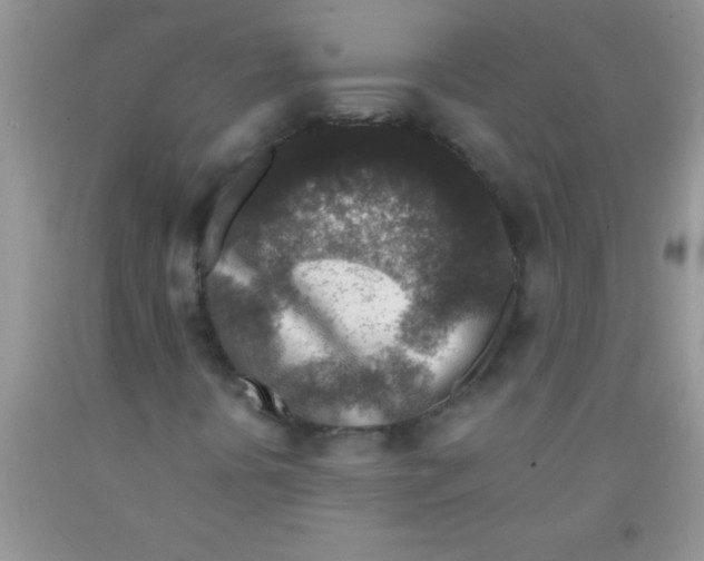 X0000091341394200709071208