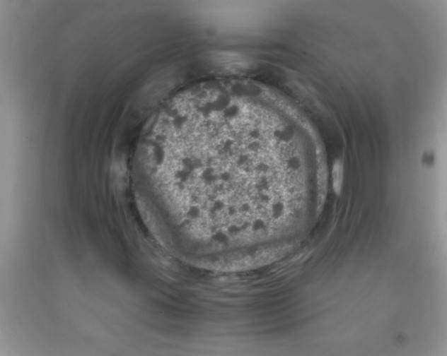 X0000091341395200709071208