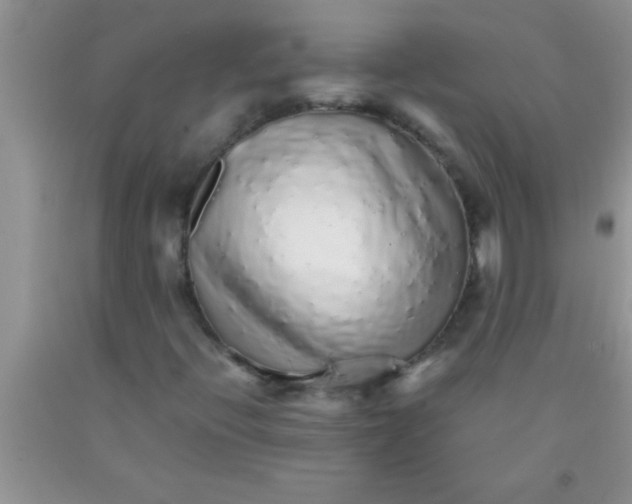 X0000091341396200709071209