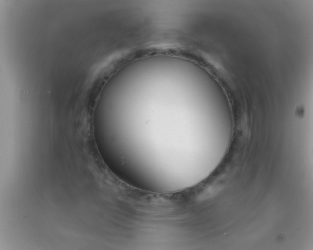 X0000091341398200709071209