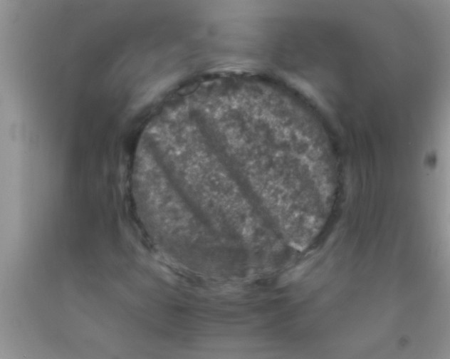 X0000091341399200709071209