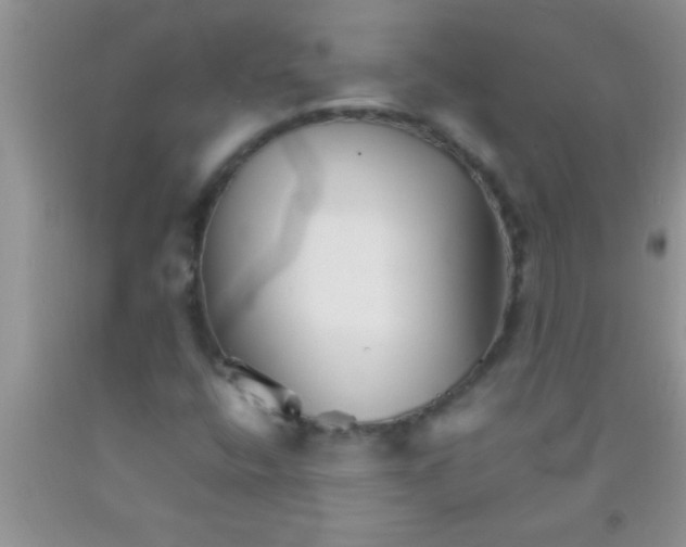 X0000091341400200709071209