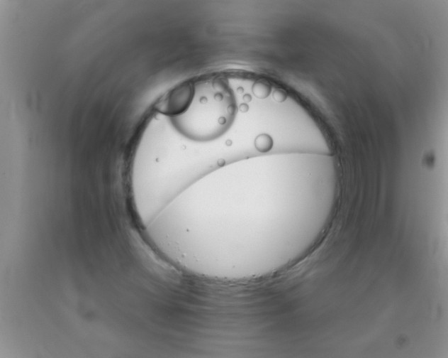 X0000091341404200709071209