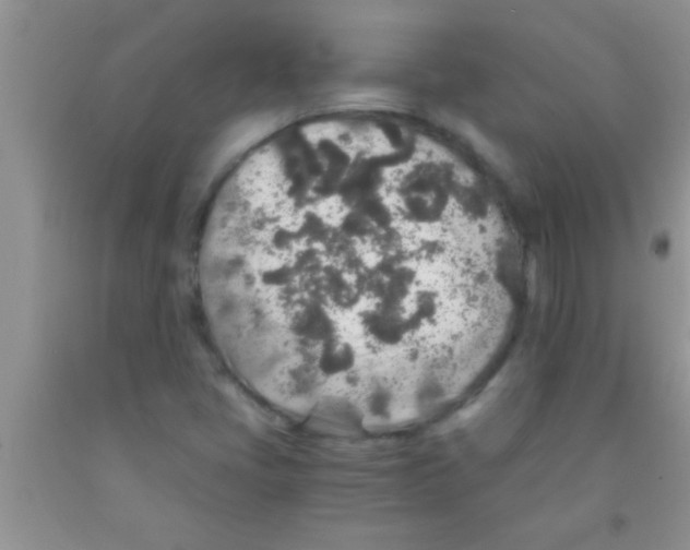 X0000091341405200709071209