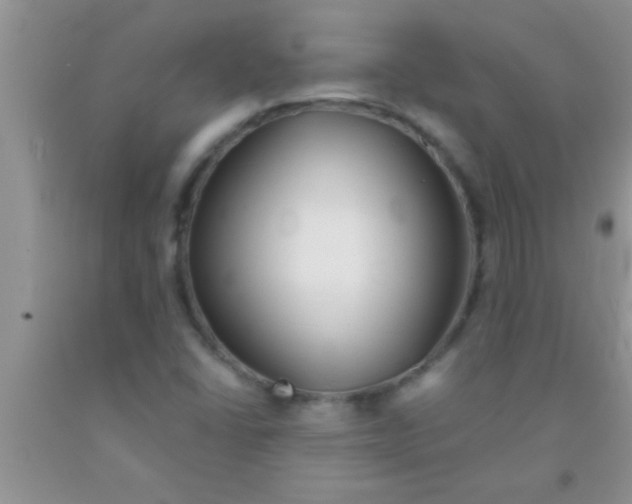 X0000091341406200709071209