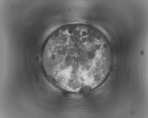 X0000091341407200709071209