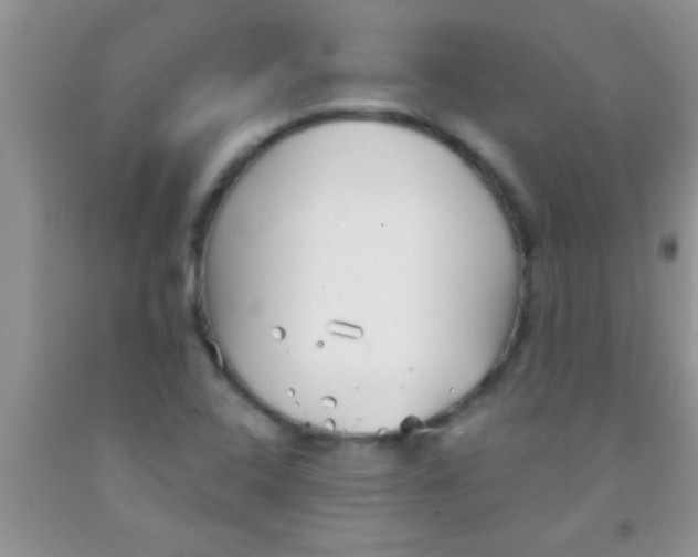 X0000091341408200709071209