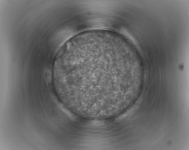 X0000091341409200709071209